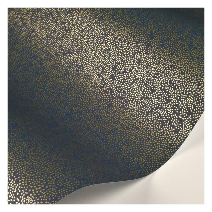 Rifle Paper Co Champagne Dots Wallpaper - Metallic Gold & Navy