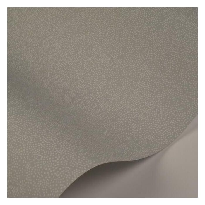 Rifle Paper Co Champagne Dots Wallpaper - Mineral