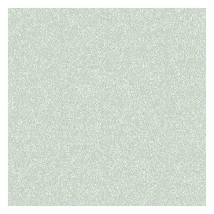 Rifle Paper Co Champagne Dots Wallpaper - Mineral