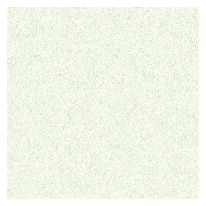 Rifle Paper Co Champagne Dots Wallpaper - Linen & White
