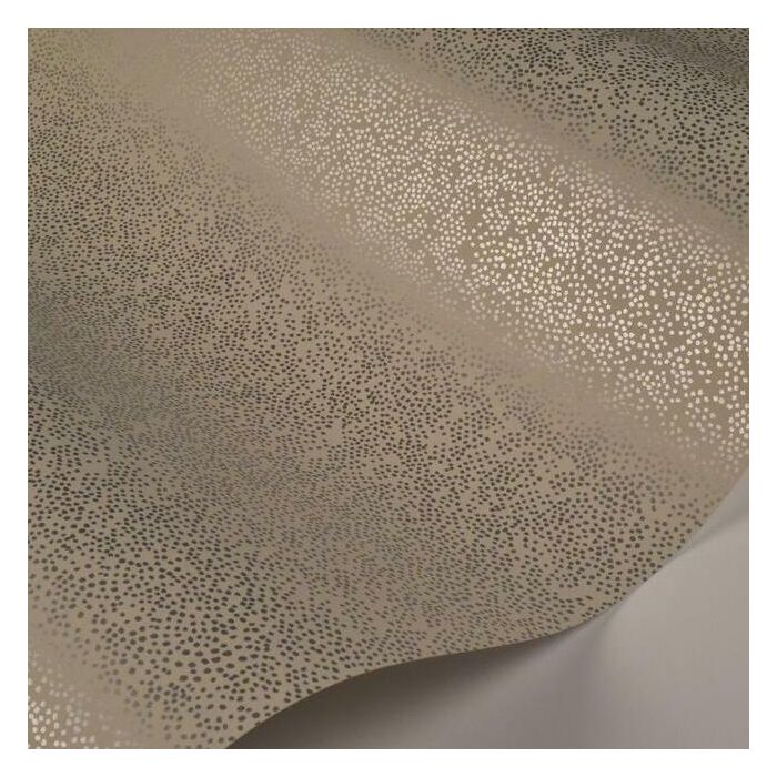 Rifle Paper Co Champagne Dots Wallpaper - Metallic Silver & Linen