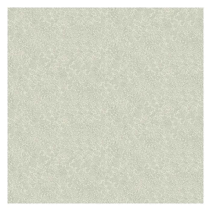 Rifle Paper Co Champagne Dots Wallpaper - Metallic Silver & Linen