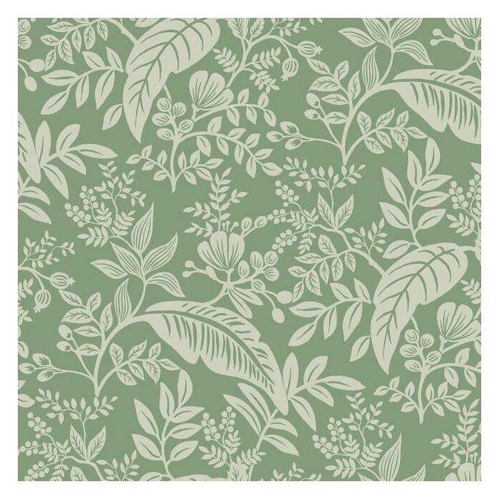 Rifle Paper Co Canopy Wallpaper - Sage
