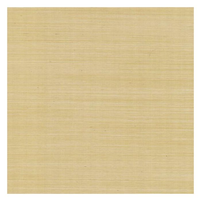 Rifle Paper Co Palette Sisal Wallpaper - Metallic Gold