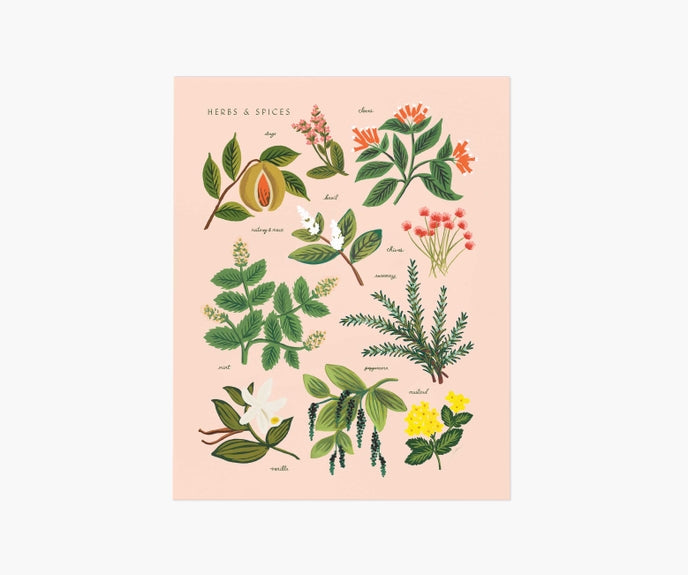 Rifle Paper Co 8x10 Art Print - Peach Herbs and Spices