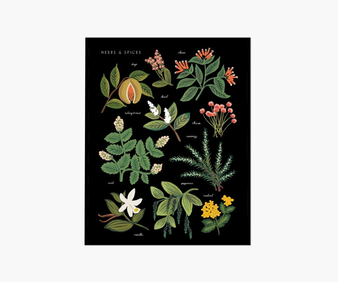 Rifle Paper Co 8x10 Art Print - Charcoal Herbs and Spices