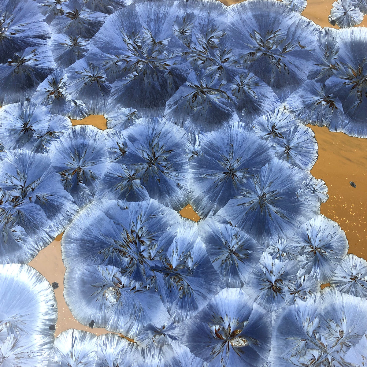 Borealis Medium Lazy Susan - Frost Blue