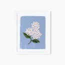 Rifle Paper Co 8x10 Print - Hydrangea Bloom Blue