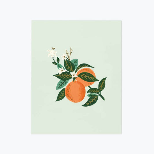 Rifle Paper Co 11x14 Art Print - Orange Blossom