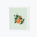 Rifle Paper Co 8x10 Art Print - Orange Blossom
