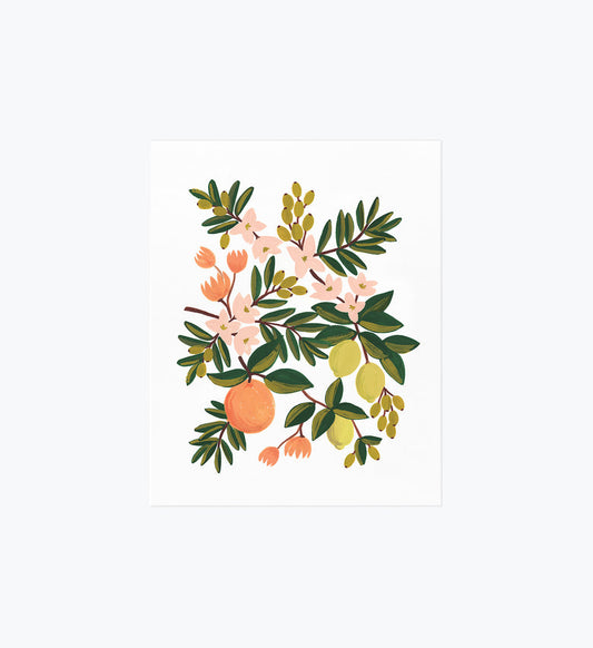 Rifle Paper Co 8x10 Art Print - Citrus Floral
