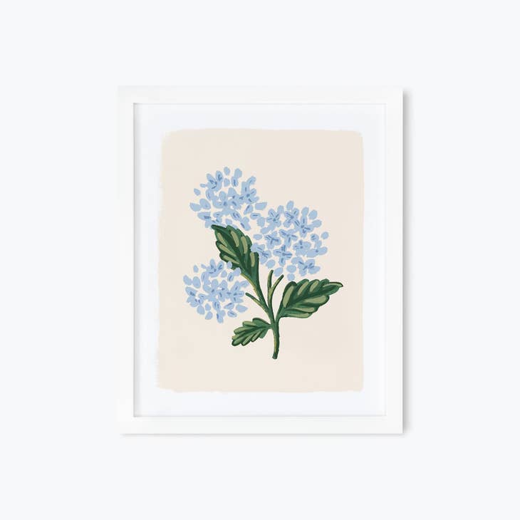 Rifle Paper Co 11x14 Art Print - Hydrangea Bloom Cream