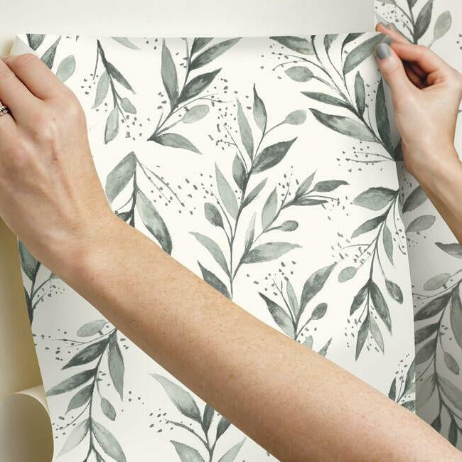 Magnolia Home Olive Branch Peel & Stick Wallpaper - Charcoal