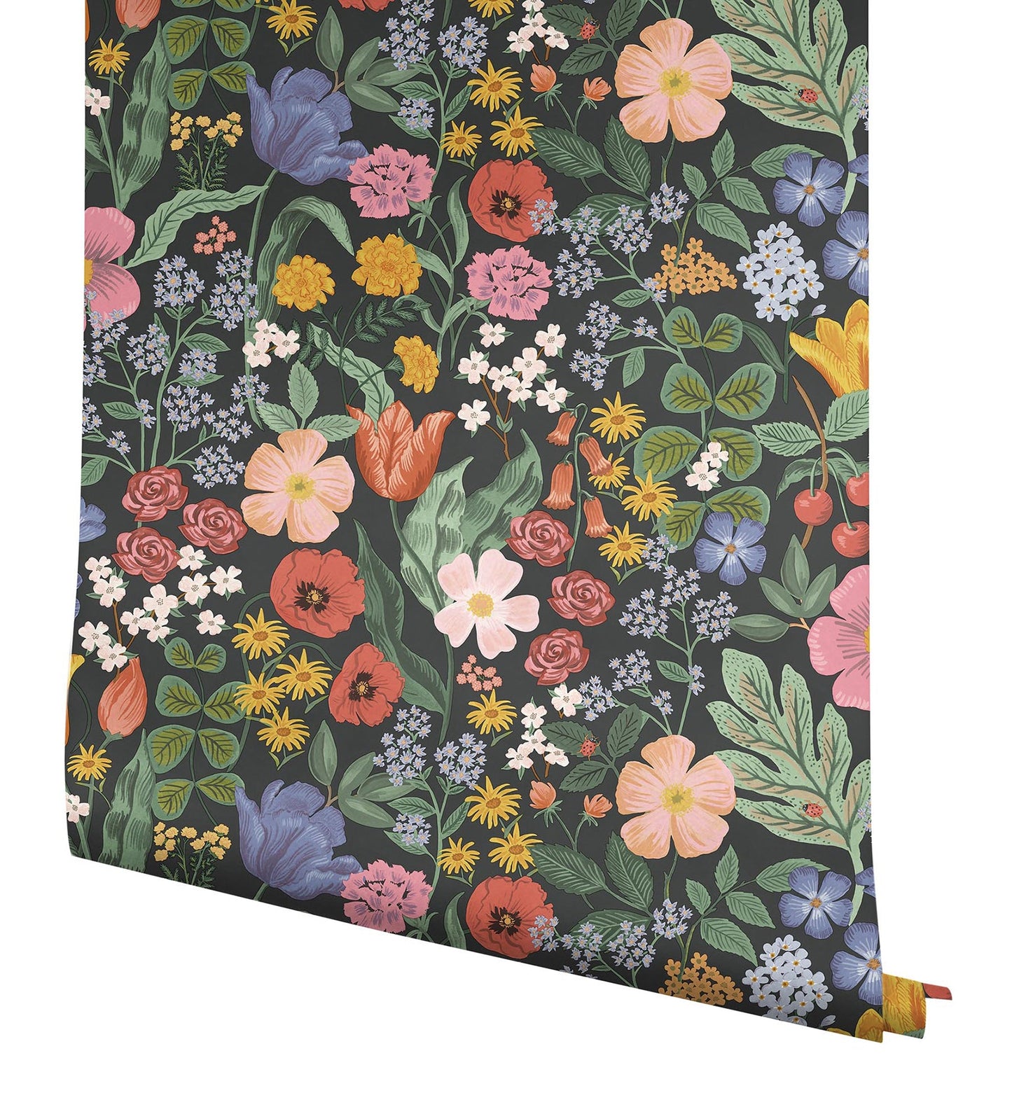 Rifle Paper Co Blossom Wallpaper - Black