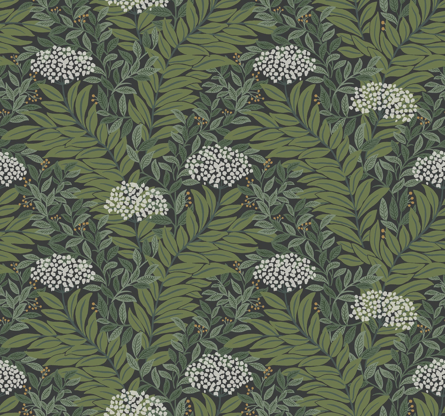 Rifle Paper Co Highgrove Wallpaper - Black