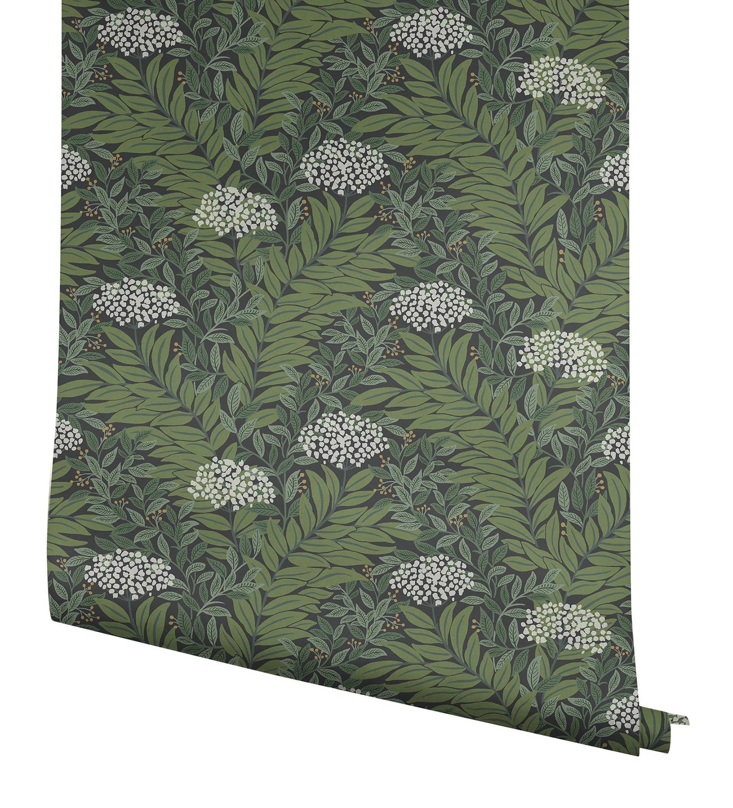 Rifle Paper Co Highgrove Wallpaper - Black