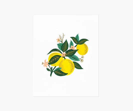 Rifle Paper Co 11x14 Art Print - Lemon Blossom