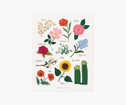 Rifle Paper Co 18x10 Print - Florals of the United States