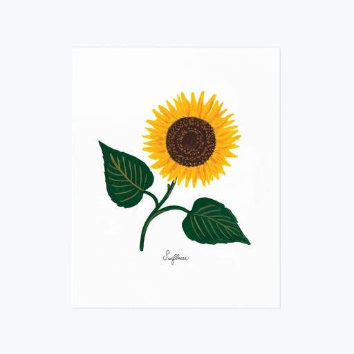 Rifle Paper Co 8x10 Art Print - Sunflower