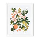 Rifle Paper Co 8x10 Art Print - Citrus Floral