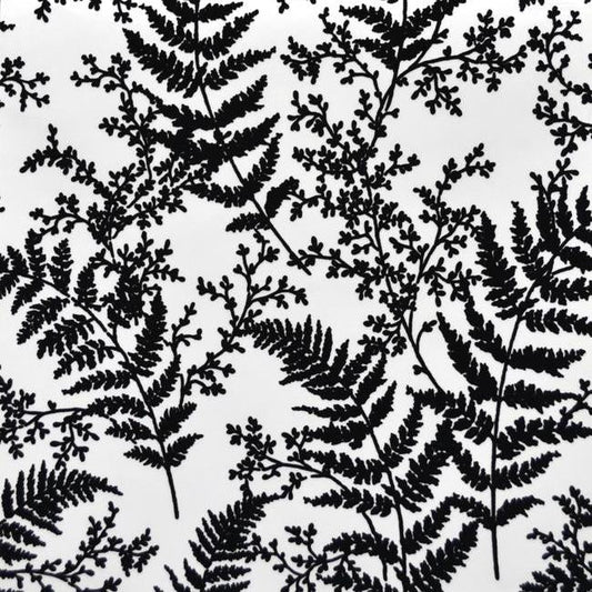 Magnolia Home Forest Fern Wallpaper - Black