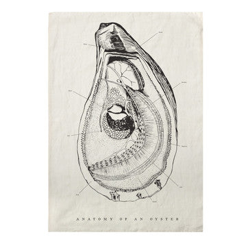 Tea Towel - Oyster Anatomy