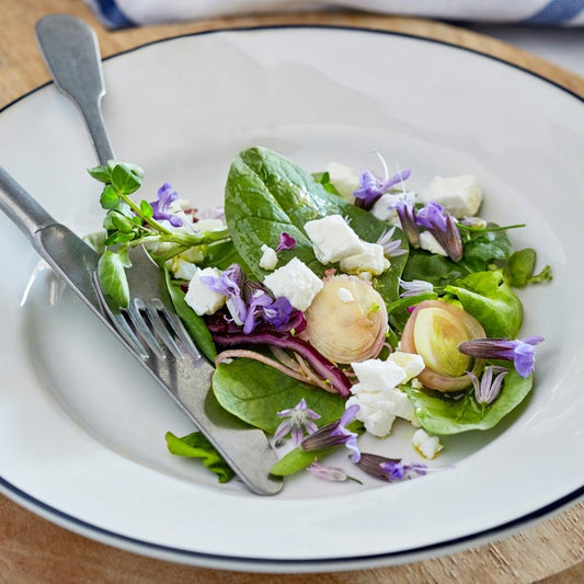 Beja Salad Plate Set - White Blue