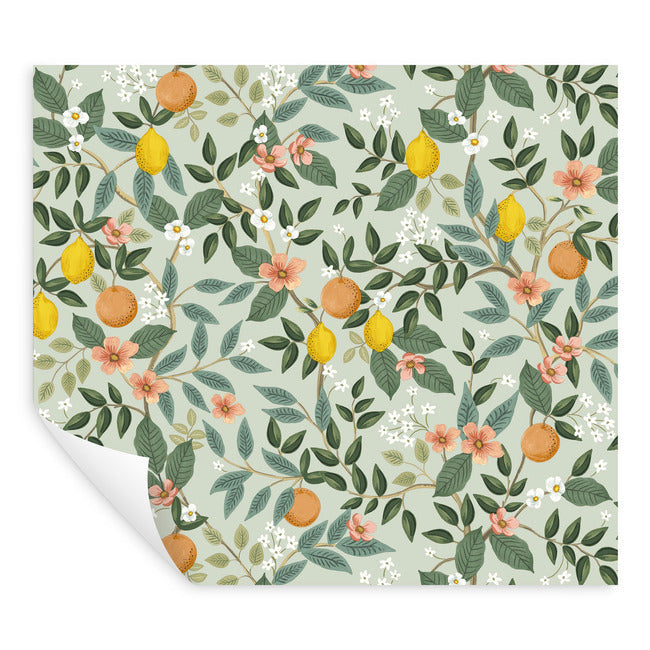 Rifle Paper Co Citrus Grove Peel & Stick Wallpaper - Mint