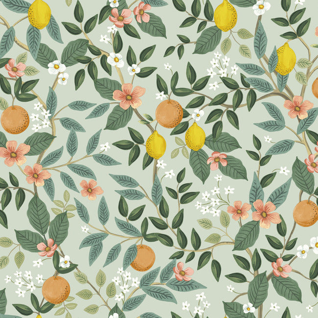 Yellow lemon and orange sketch Pattern Wallpaper for Walls | Citrus Grove