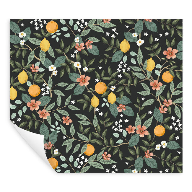 Rifle Paper Co Citrus Grove Peel & Stick Wallpaper - Black