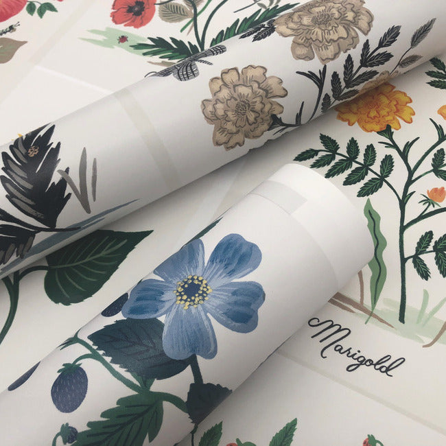 Rifle Paper Co Botanical Prints Wallpaper - Indigo