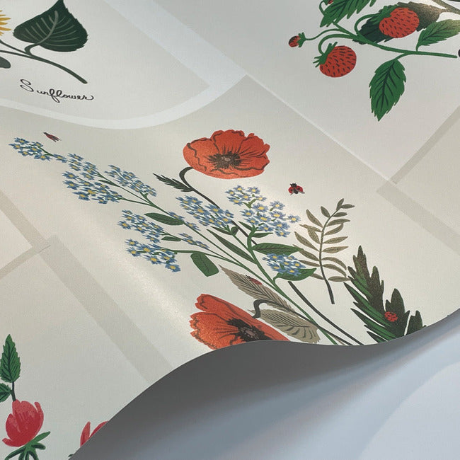 Rifle Paper Co Botanical Prints Wallpaper - White