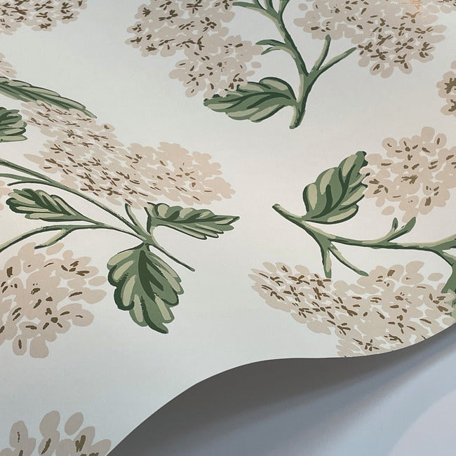 Rifle Paper Co Hydrangea Wallpaper - White & Blush