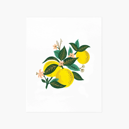 Rifle Paper Co 8x10 Art Print - Lemon Blossom