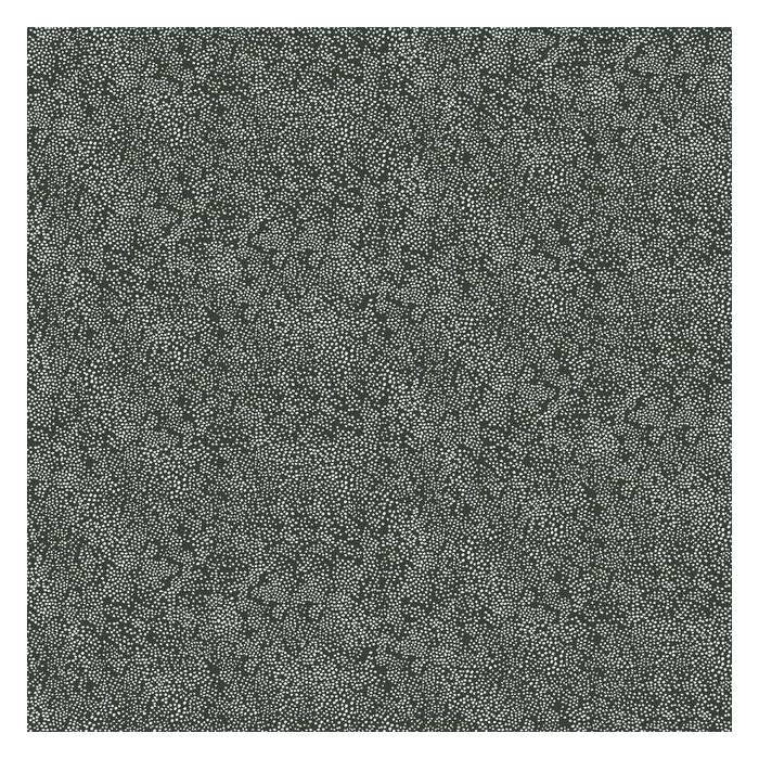 Rifle Paper Co Champagne Dots Wallpaper - White & Black