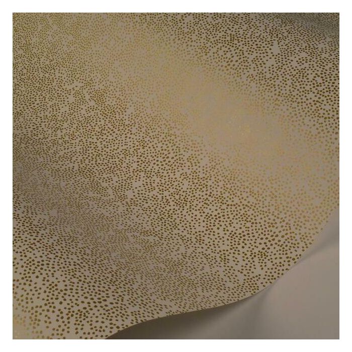 Rifle Paper Co Champagne Dots Wallpaper - Metallic Gold & White