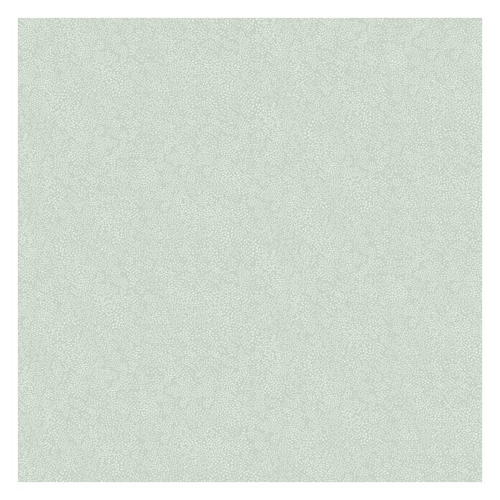 Rifle Paper Co Champagne Dots Wallpaper - Mineral