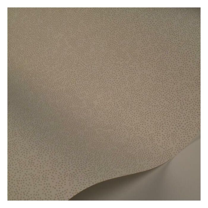 Rifle Paper Co Champagne Dots Wallpaper - Linen & White