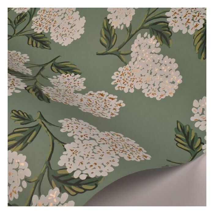 Rifle Paper Co Hydrangea Wallpaper - Jade