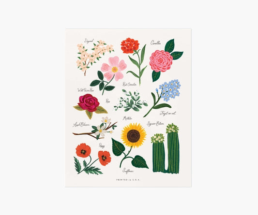 Rifle Paper Co 11x14 Print - Florals of the United States